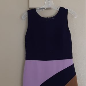 Ann Taylor Dress